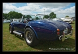 AC Cobra Pilgrim-2